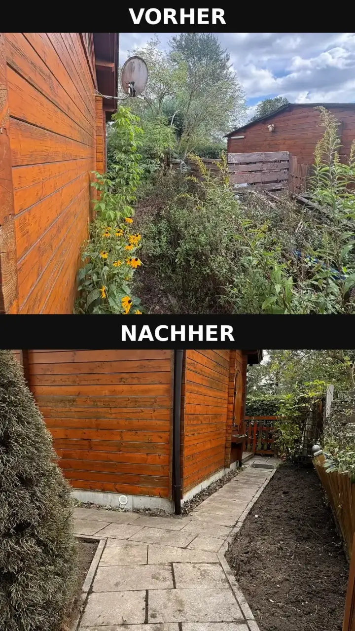 Gartenberäumung Hamburg vorher und nachher – zugewachsener Seitenweg