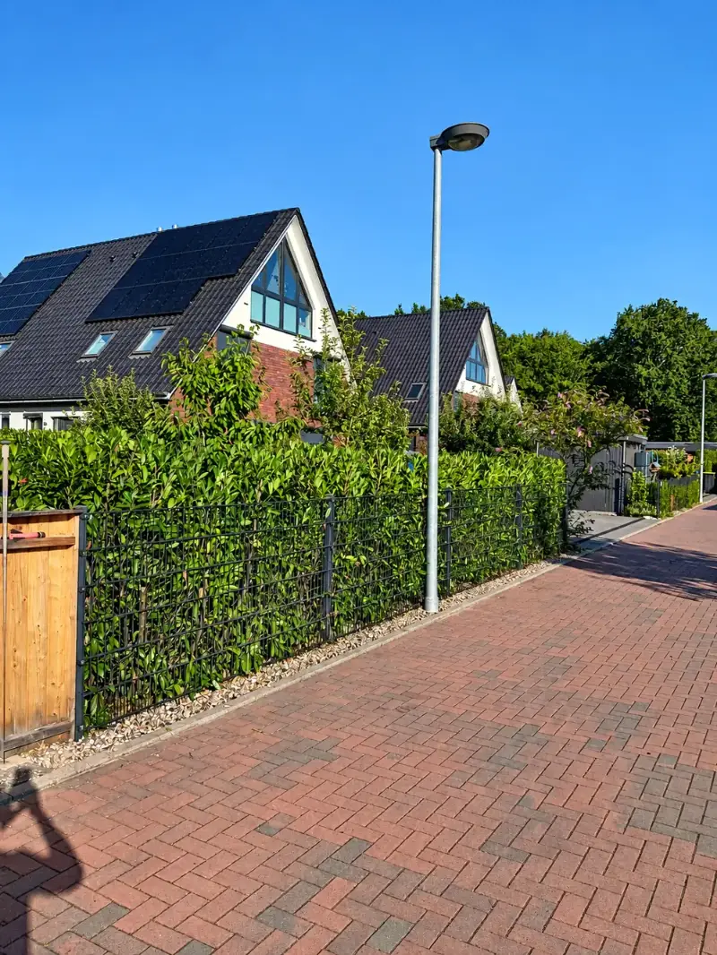 Hecke schneiden Hamburg – nachher